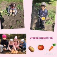 Огород-кормит год Огород-кормит год.