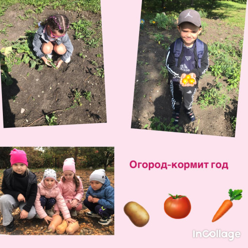 Огород-кормит год Огород-кормит год.