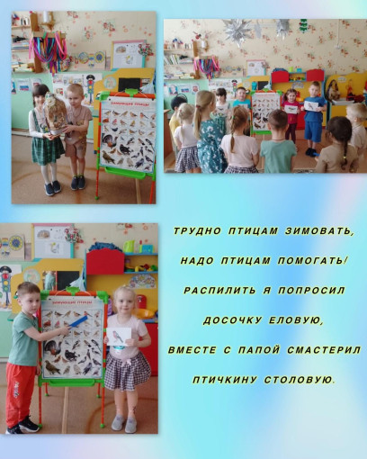 Зимующие птицы Зимующие птицы.