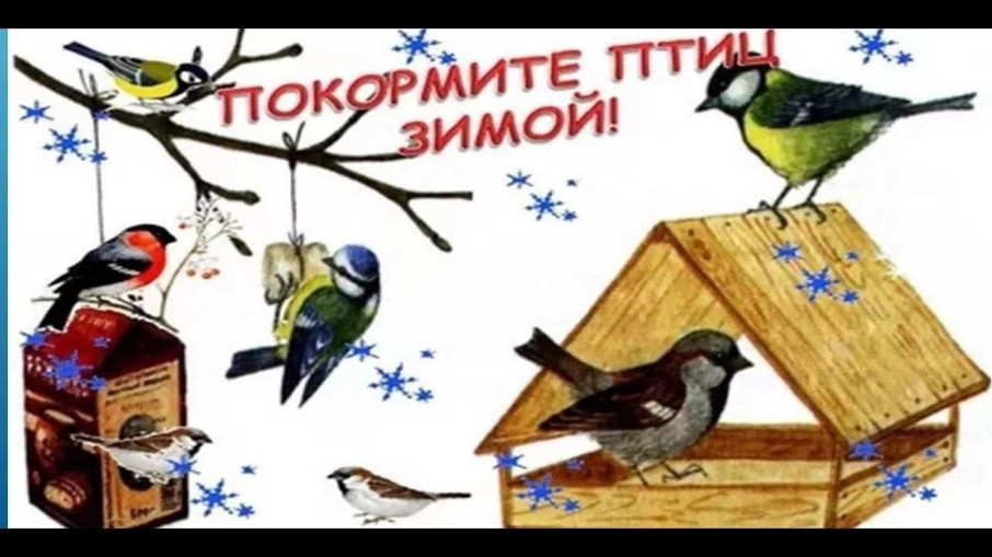 Покормите птиц Покормите птиц.