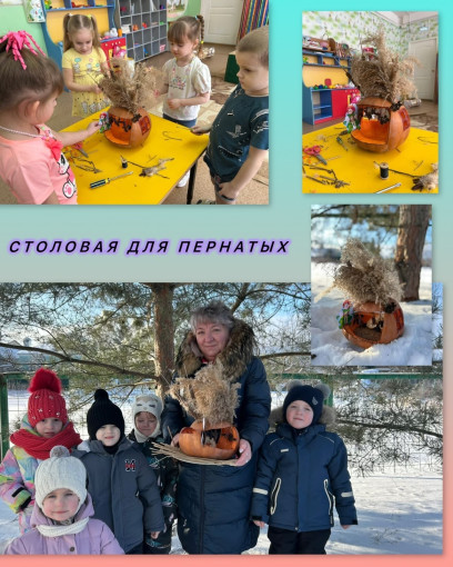 Столовая для пернатых Столовая для пернатых.